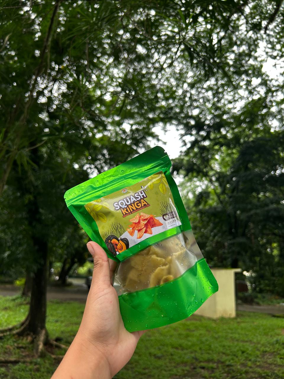 Squashringa Sour Cream Chips