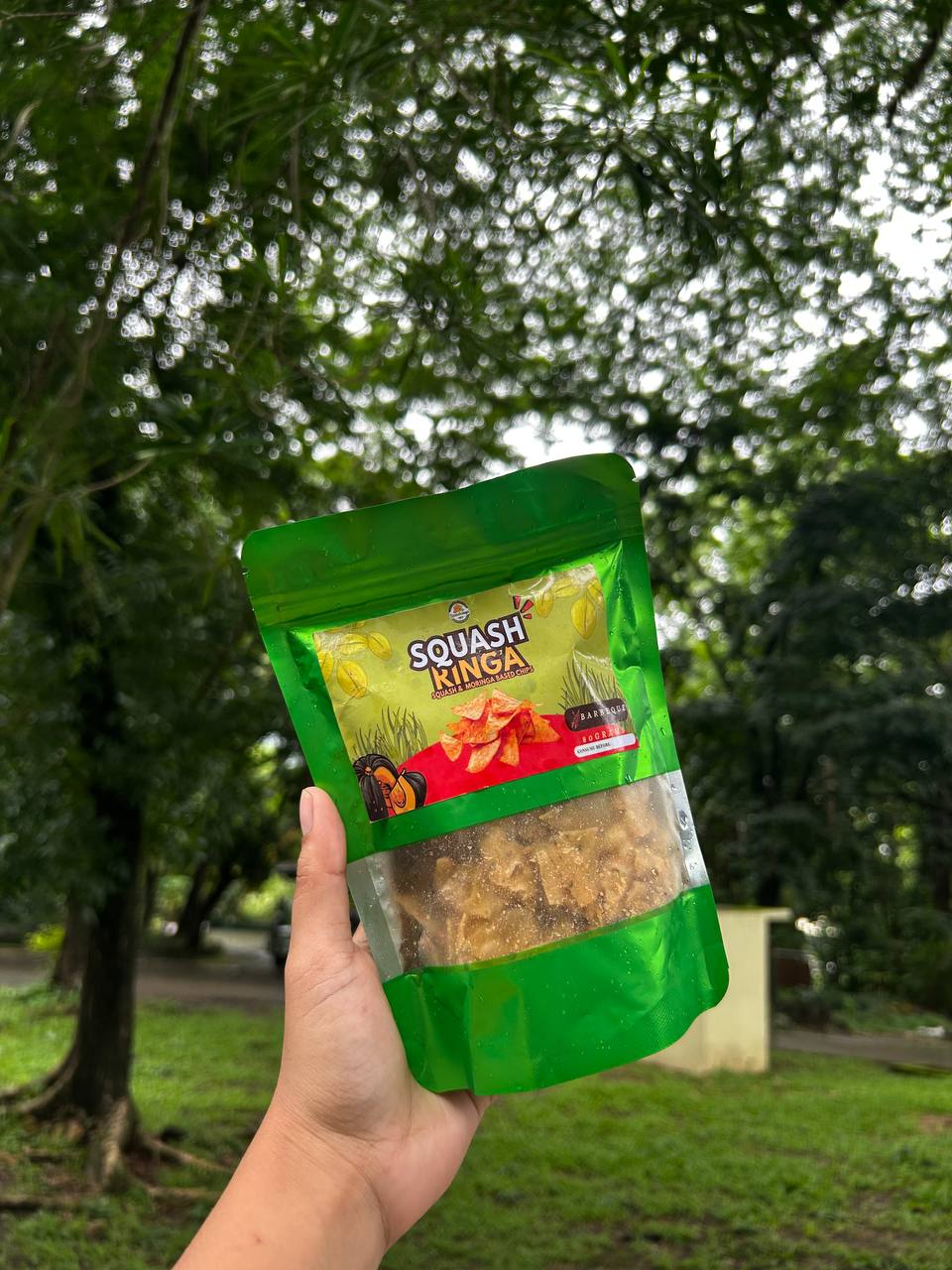 Squashringa Barbeque Chips